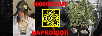 гидра Ивантеевка
