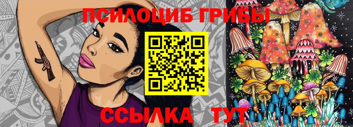 дарнет шоп  Псилоцибиновые грибы мухоморы  Вход с VPN  Галлюциногенные грибы Psilocybe  Великие Луки 